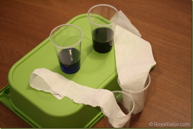 The 'Walking' Water Experiment