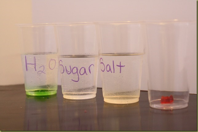 Gummi Bear Science Experiments