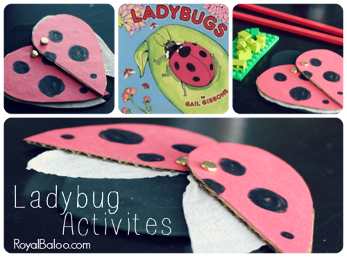 Ladybug Activites to go with Ladybugs by Gail Gibbons