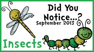 DidYouNoticeInsects