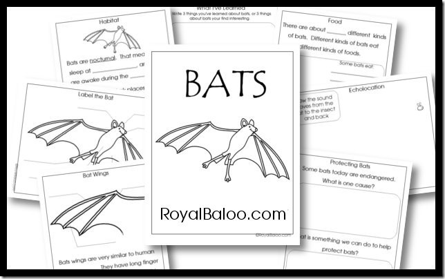 Free Bat Unit Study