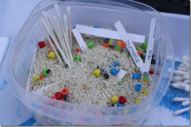 Using Printables in Sensory Play