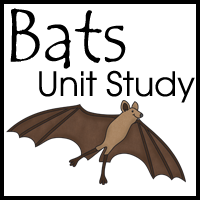 Exploring the World of Bats: A Fun and Fascinating Unit Study!
