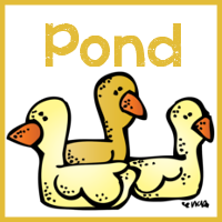 Pond Calendar Cards