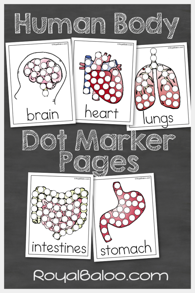 Free Human Body Dot Marker Pages