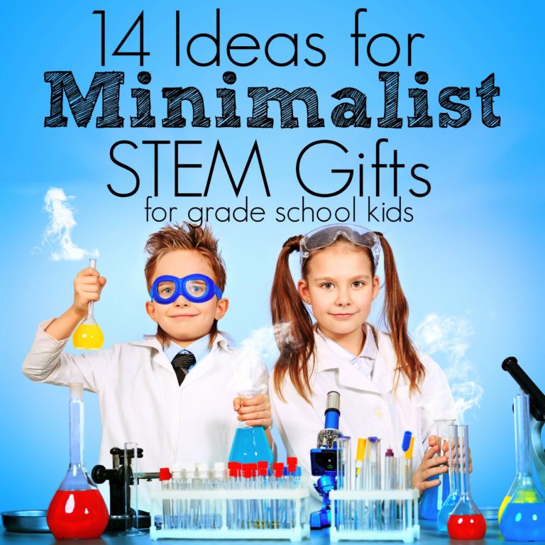 14 Ideas for Minimalist Gifts for the STEM Child