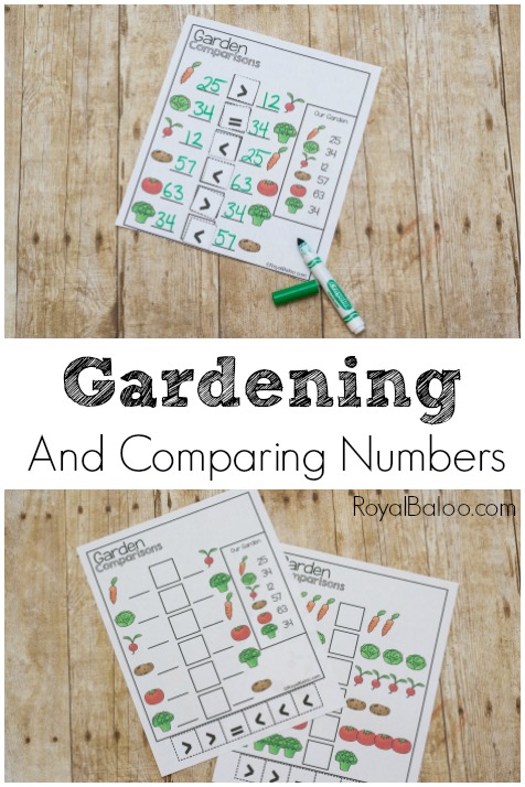 Practicing comparing single and double digit numbers with the garden comparisons pages. Using gardening and vegetables, comparisons have never been so easy.