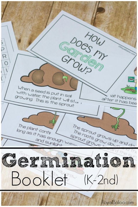 Learn about germination of a seed or how a seed grows into a plant. The entire process is laid out in the simple easy reader booklet for K-2nd!