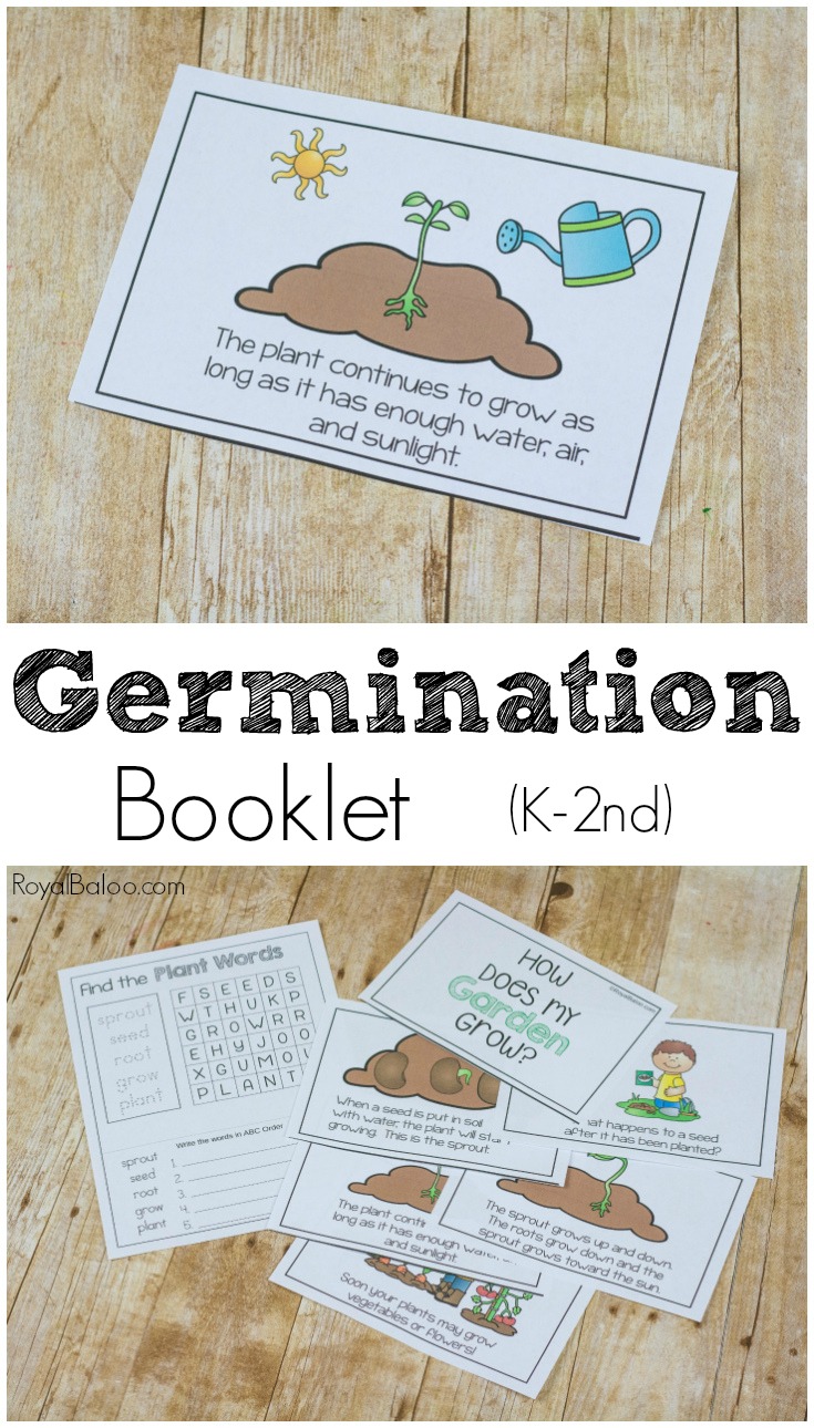 Learn about germination of a seed or how a seed grows into a plant. The entire process is laid out in the simple easy reader booklet for K-2nd!