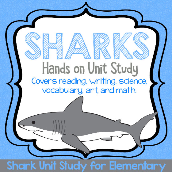 Hands-on Shark STEAM Unit Study for Fun Shark Learning