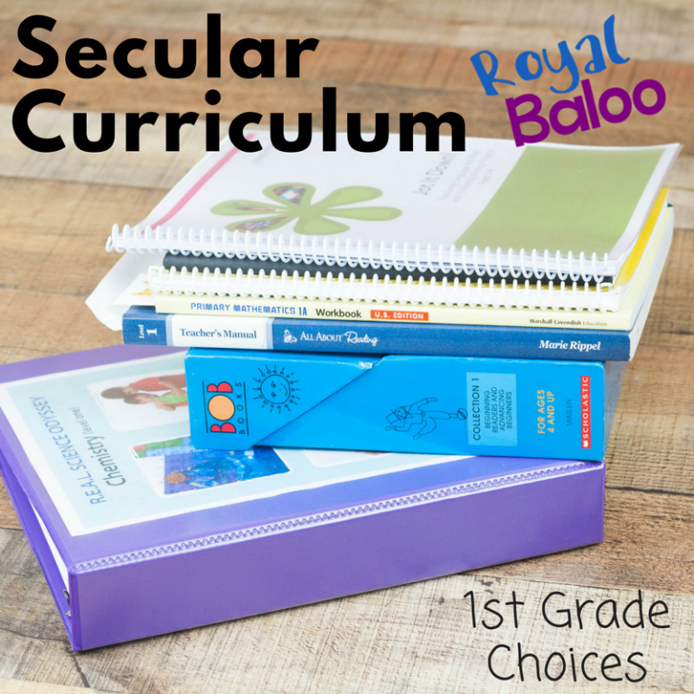 1st Grade Secular Homeschool Curriculum Choices