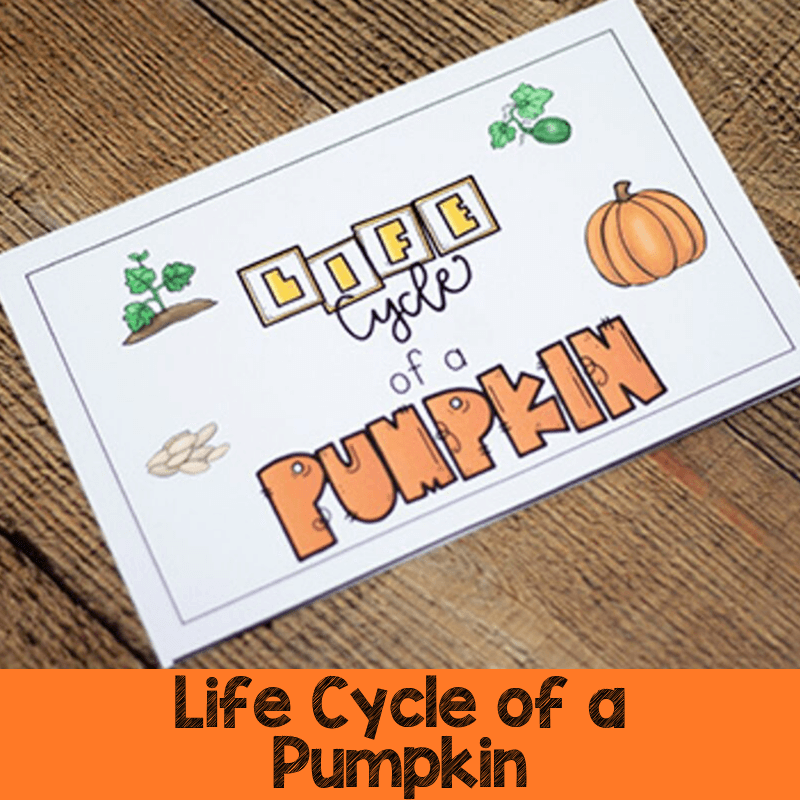 Life Cycle of a Pumpkin Printables