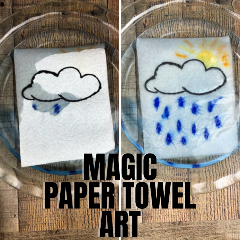 Magic Paper Towel Art