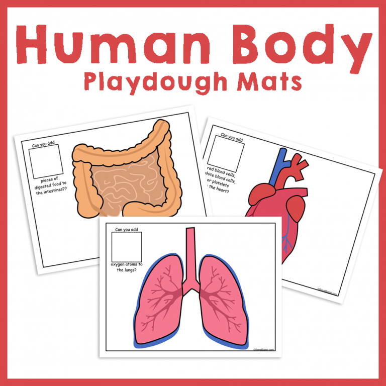 Human Body Play Dough Pages