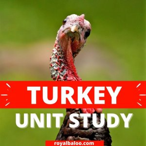 Turkey Unit Study – Everything You Need