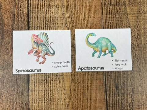 Dinosaur Sorting → Royal Baloo