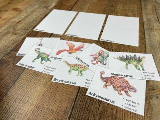 Dinosaur Sorting → Royal Baloo
