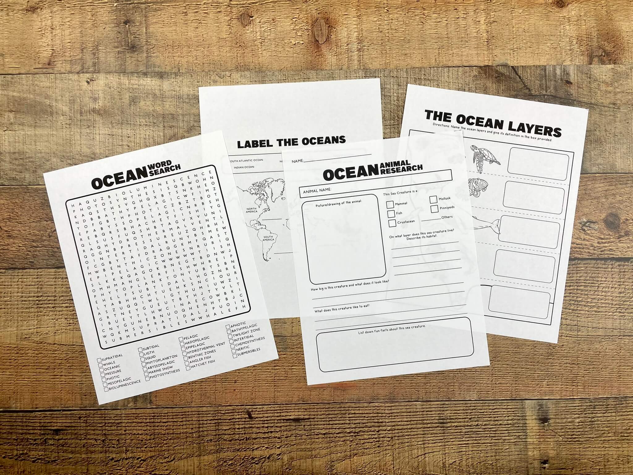 Printable Ocean Excitement: Dive In and Learn About the Wonders of the ...