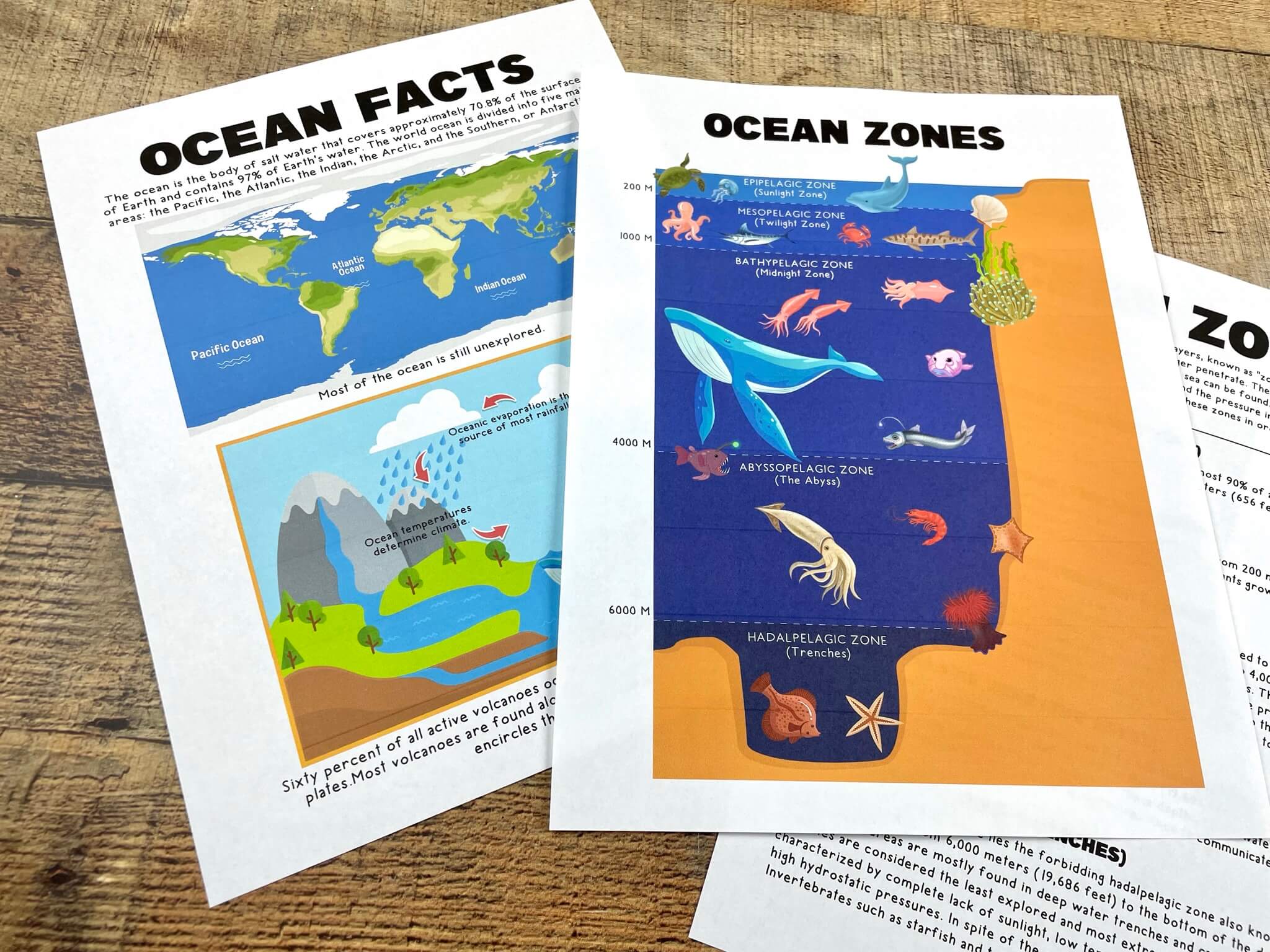 Printable Ocean Excitement: Dive In and Learn About the Wonders of the ...